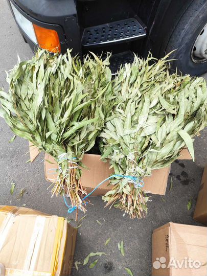 Эвкалиптовый веник