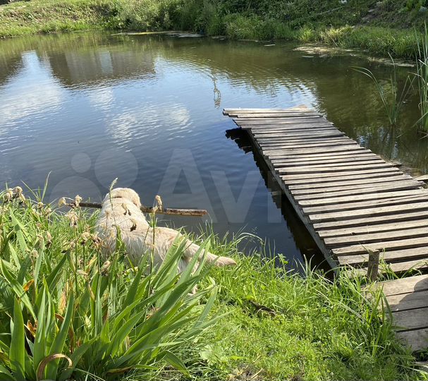 Участок 3 сот. (ИЖС)