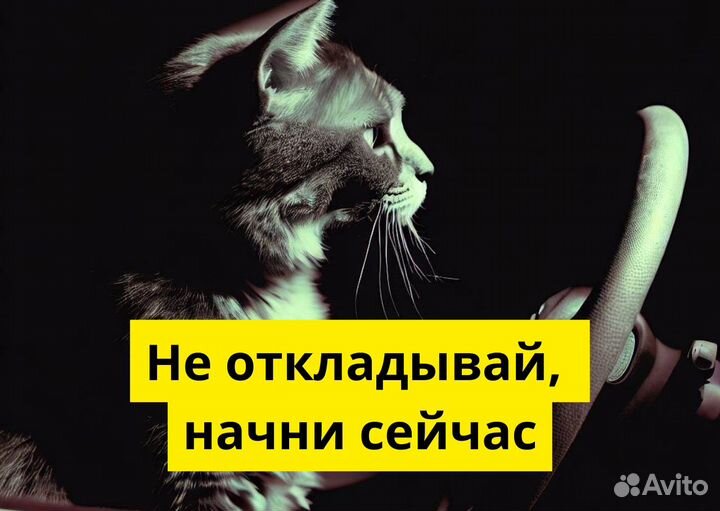 Работай в Яндекс Go на своем т/с