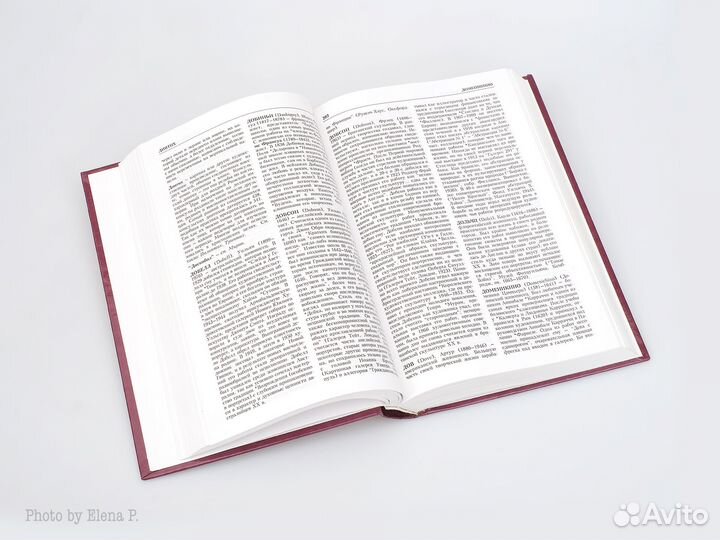 Ян Чилверс. Путеводитель по искусству