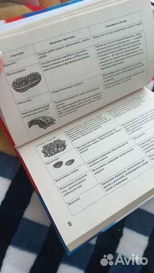 Справочник егэ по биологии лернер