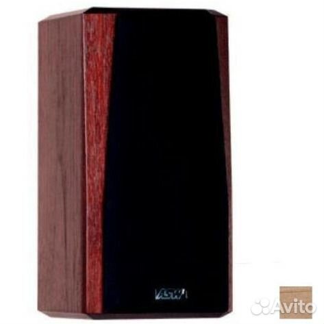 ASW Opus S A.V.Spot Alder mono