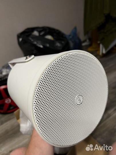 Рупорный громкоговоритель CVG audio