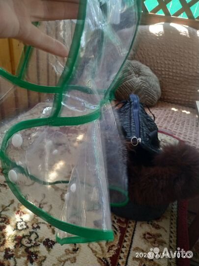 Одежда для йорка