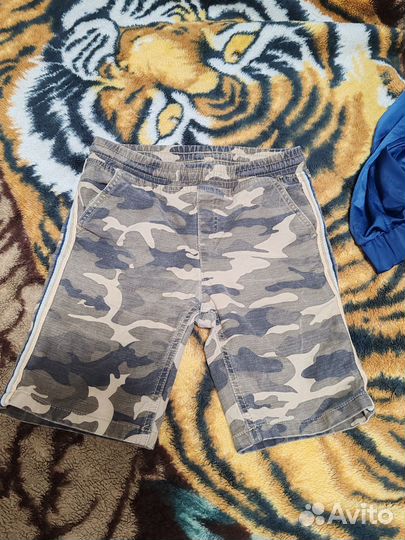 Брюки демисезонные