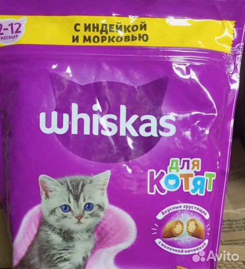 Корм для котят
