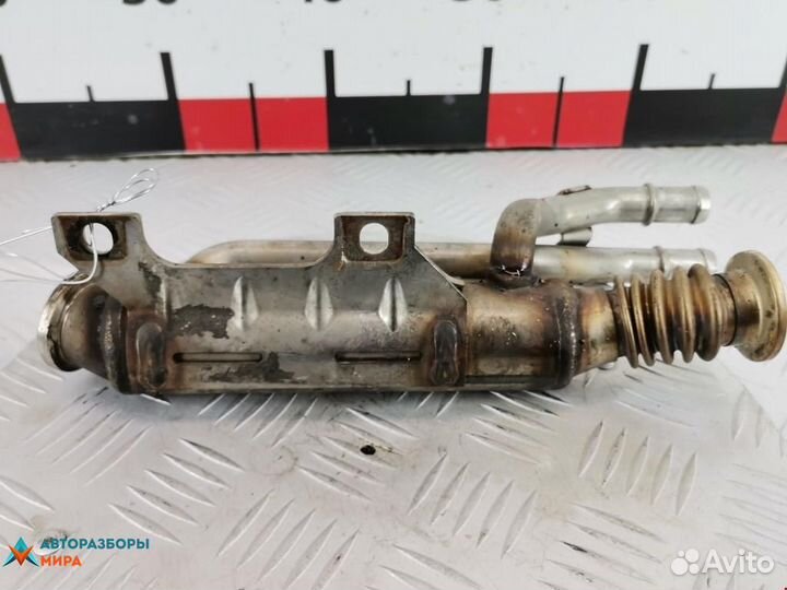 Охладитель EGR / Радиатор EGR Renault Scenic 2