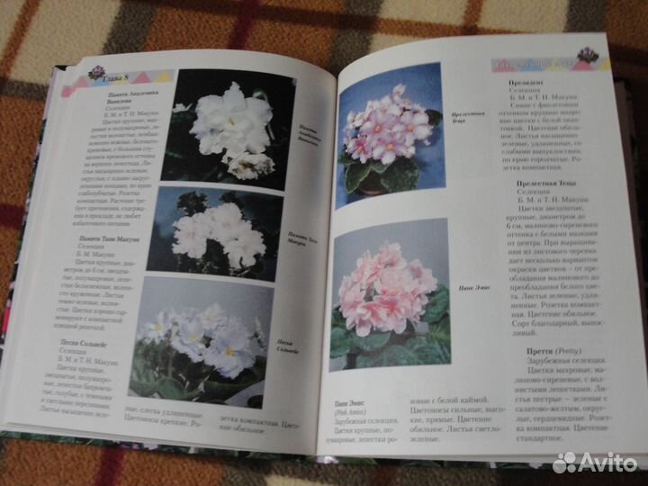 Книги о фиалках