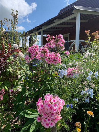 Участок 20 сот. (ИЖС)