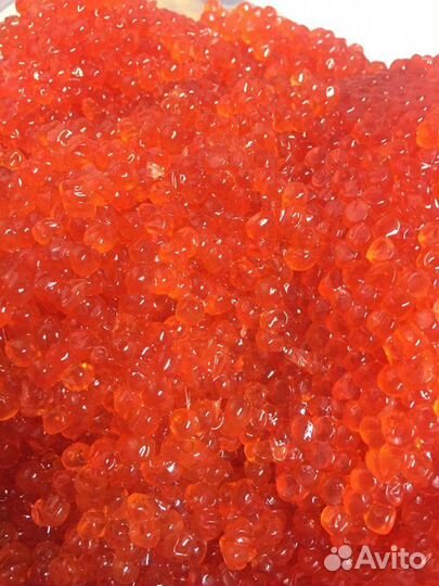 Икра горбуши