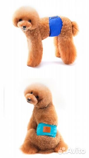 Новый пояс для собак кобелей многоразовый S