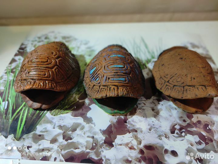 Аквариум, рыбки, растения, декорации