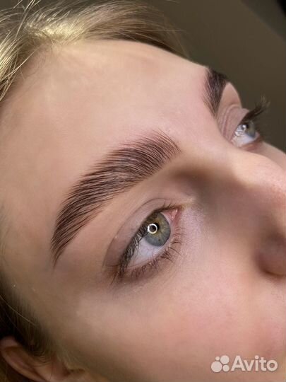 Мастер бровист