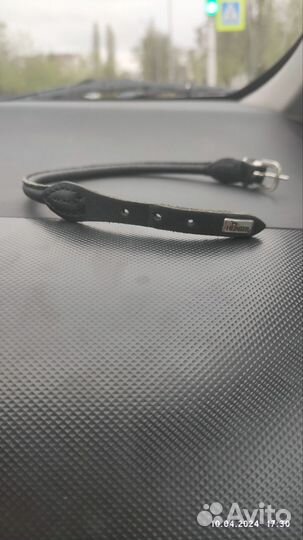 Ошейник для маленькой собаки