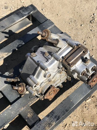 Раздатка на соболь газель