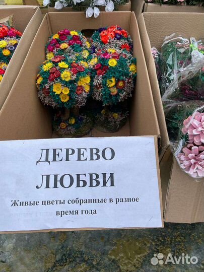 Дерево любви