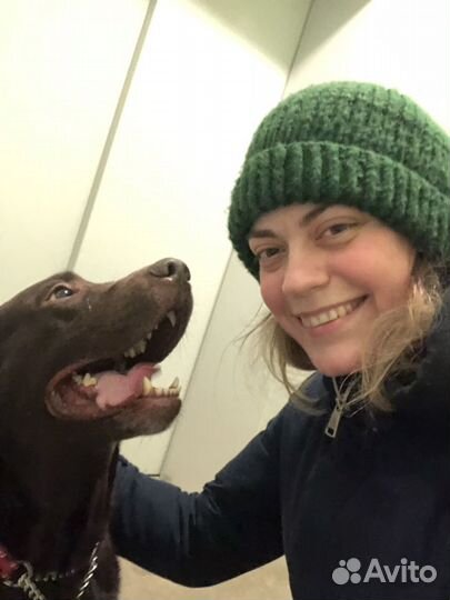 Кинолог/выгул собак Путилково, Митино, Сходненская