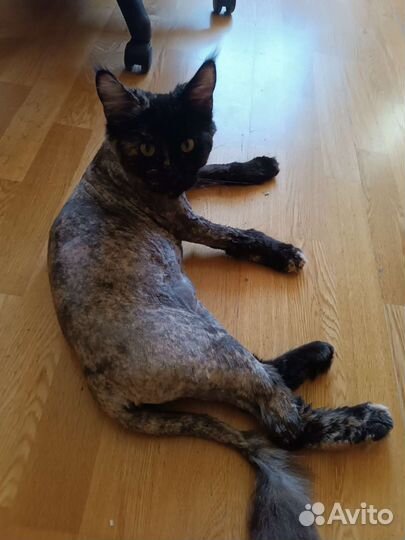 Мейкун вязка