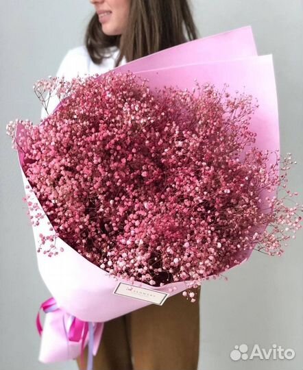 Гипсофила Голладская Цветы Букеты Доставка 24/7