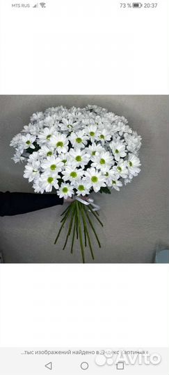 Цветы с доставкой