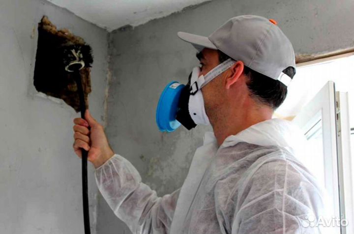 Прочистка и проверка вентиляции