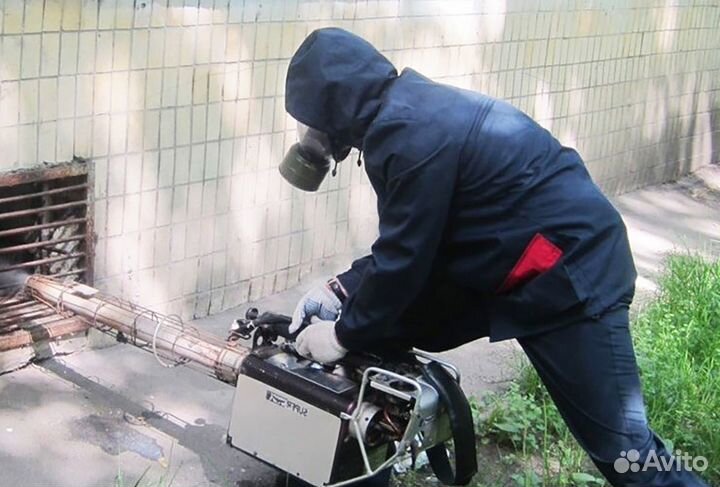 Уничтожение клопов, мышей, крыс, клещей, кротов/ос