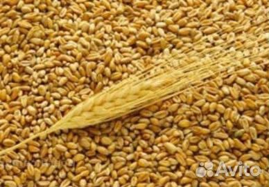 Кoрма для животных