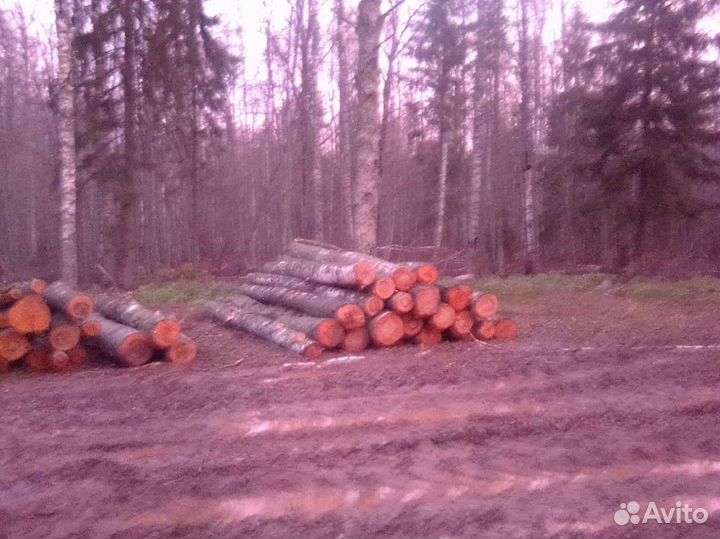 Лес кругляк пиловочник