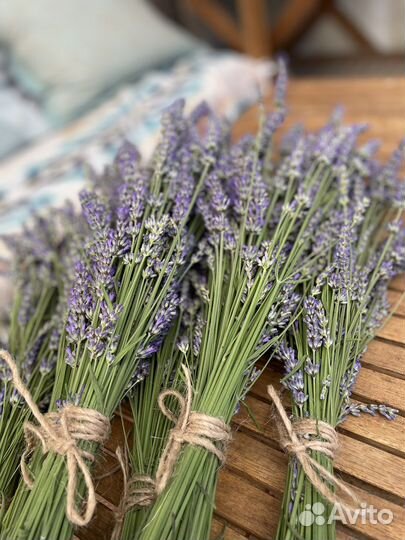 Лаванда в пучках свежесрезанная подсушенная