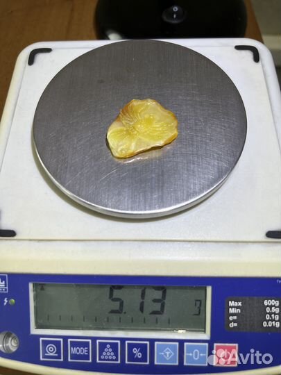 Птица Феникс из Балтийского янтаря