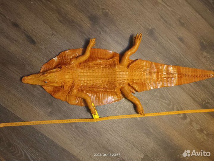 Кожа крокодила шкура