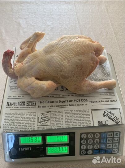 Домашний бройлер, суповые петушки