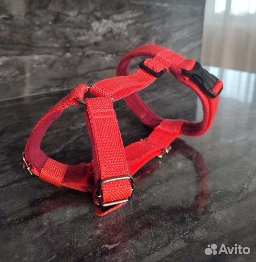 Амуниция для собак