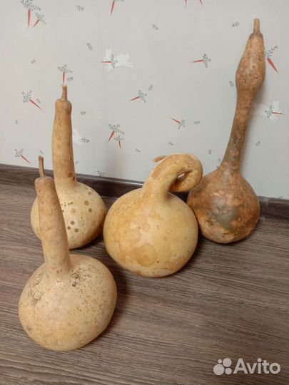 Высушенные бутылочные тыквы под роспись