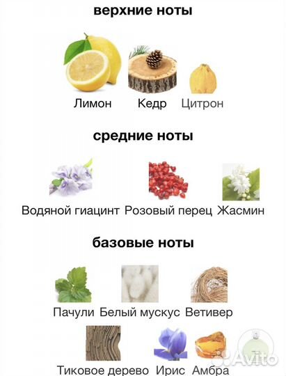 Chanel chance eau fraiche 100 ml