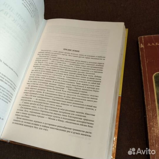 Пчеловодство