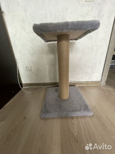 Когтеточка