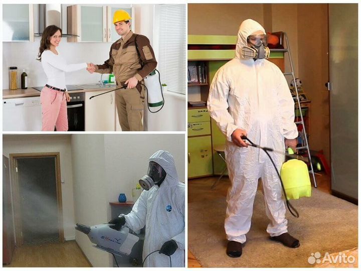 Уничтожение клопов, тараканов, грызунов, ос, ртуть