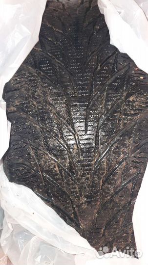 Nokian Tyres Hakkapeliitta R2 205/55 R16