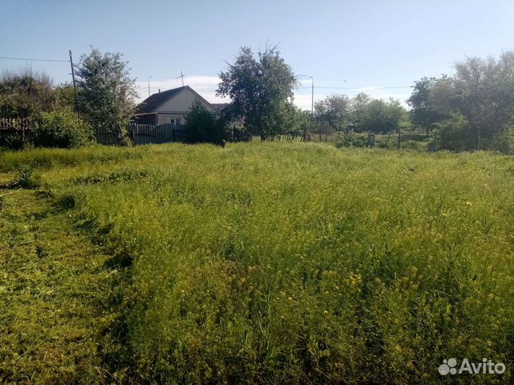 Спил деревьев, в спашка и культивирование земли по