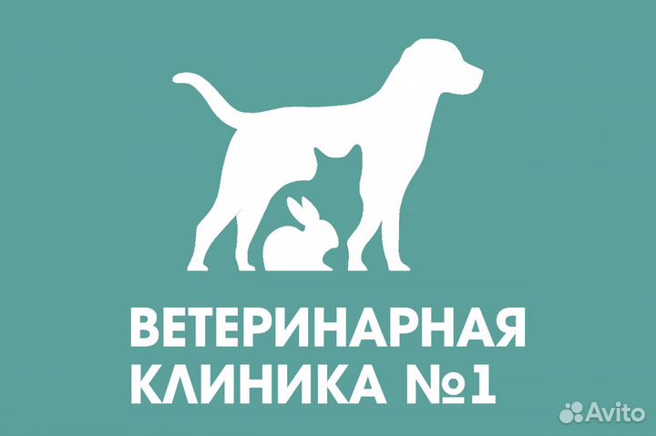 Ассистент ветеринарного врача
