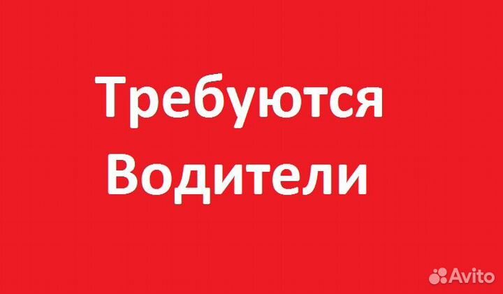 Водитель автомобиля категории B,C, D
