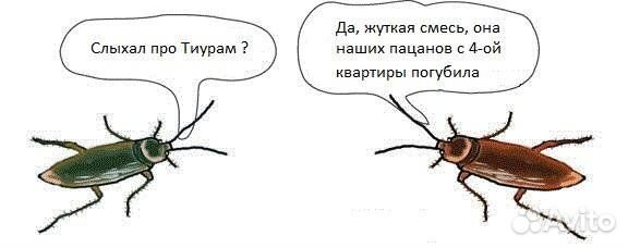 Тиурам средство от тараканов