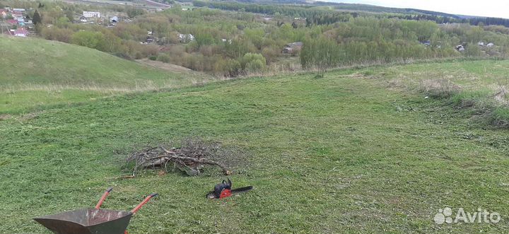 Покос травы тримером.Спил,распил плодовых деревьев
