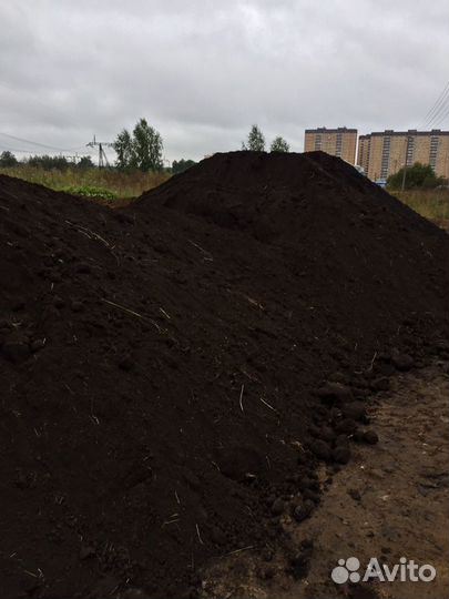 Земля чернозем
