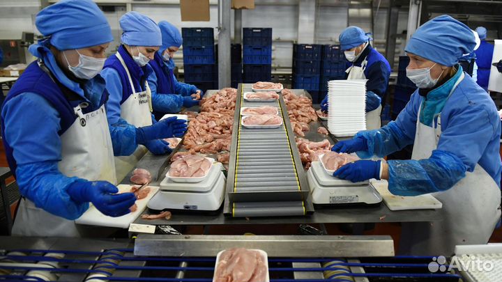 Вахта /г. Волгоград/питание/проживание/проезд