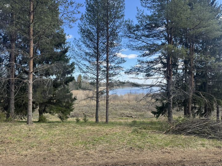 Участок 15 сот. (ИЖС)