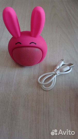 Портативная колонка