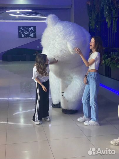 Поздравление Панда/ Чебурашка/ Белый Медведь