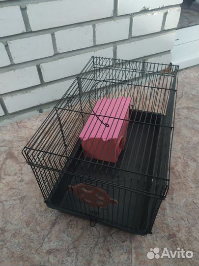 Клетка для грызунов бу